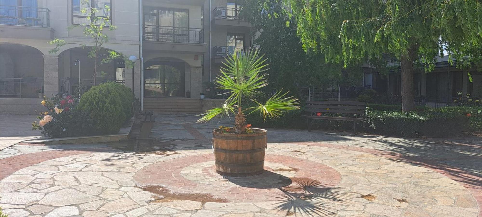 Patrick'S Apartments - Sorrento Sole Mare, سفيتي فلاس المظهر الخارجي الصورة