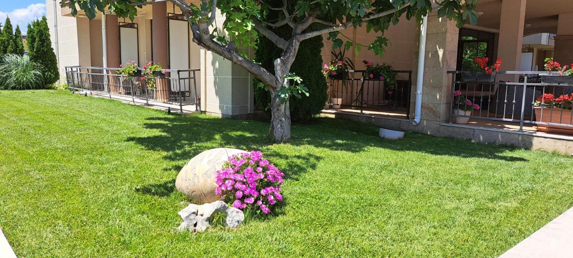 Patrick'S Apartments - Sorrento Sole Mare, سفيتي فلاس المظهر الخارجي الصورة