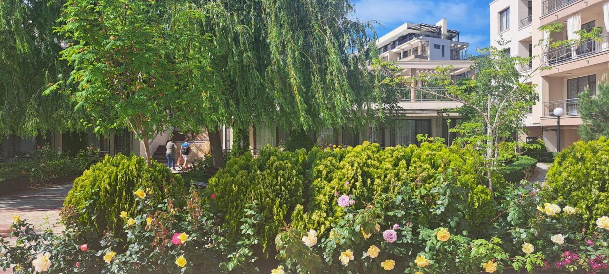 Patrick'S Apartments - Sorrento Sole Mare, سفيتي فلاس المظهر الخارجي الصورة